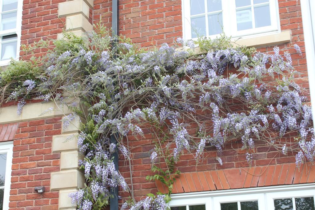Austons Down Farm B&B Claverdon Dış mekan fotoğraf